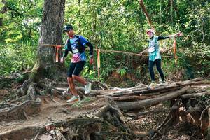 BIB: 
                            <button type="button" onclick="openModal(27558495)" class="btn btn-primary btn-sm float-right btn-popup" data-toggle="modal" data-target=".modal-high-quality">
                        <i class="fas fa-shopping-cart"></i> Add to Cart
                    </button>
                                            <button type="button" onclick="isThisMe(27558495, true)" class="btn btn-success btn-sm float-right btn-popup btn-isme hidden" data-toggle="tooltip" data-placement="bottom" title="นี่คือรูปของคุณใช่ไหม คลิกที่นี่เพื่อเอาเข้าอัลบั้ม">
                        <i class="fas fa-plus"></i> Add to album
                    </button>
                    <button type="button" onclick="isThisMe(27558495, false)" class="btn btn-warning btn-sm float-right btn-popup btn-isnotme hidden">
                        <i class="fas fa-ban"></i> Remove from album
                    </button>